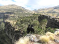 Simien Day 2(9)