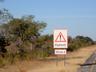 Beware of elephants