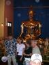 Golden Buddha