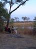 By the hippos