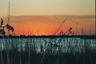 Sunset 2