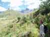 Drakensberg Nth.