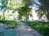 The grounds