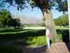 More grounds