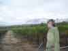 Groot Constantia