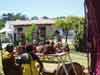 spier wine & attraction