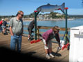 Capitola 12