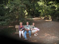 Redwoods 9