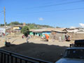 Debark 3