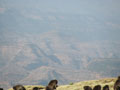 Simien park 2