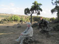 Simien park 5