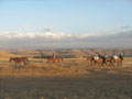 Simien park 7