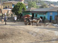 Debark 8