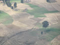 Simien Day 2(11)