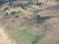 Simien Day 2(12)
