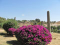 Axum 14