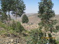 Axum to Mekelle 20