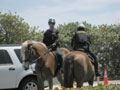 police