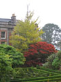 bantry 20