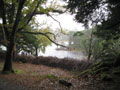 muckcross house 10