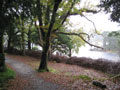 muckcross house 11