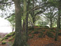muckcross house 12