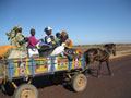 cart