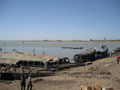 boats