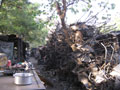 scrap