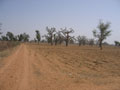 trail