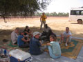picnic