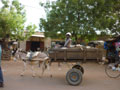 cart
