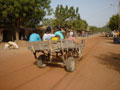 cart