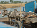 cart