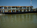 boats