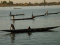 boats