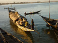 boats