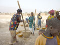 threshing
