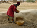 lady working
