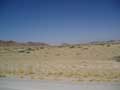 More desert
