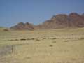 More desert 2