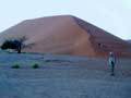 Dune at dawn