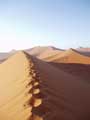 Plateau