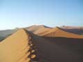 Footsteps 2