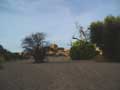 Barren location