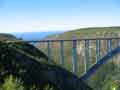 Bungee bridge