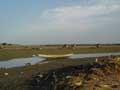 Plus pirogue