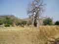 Baboa in valley