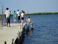 Crowd on pier