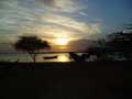 Pirogue